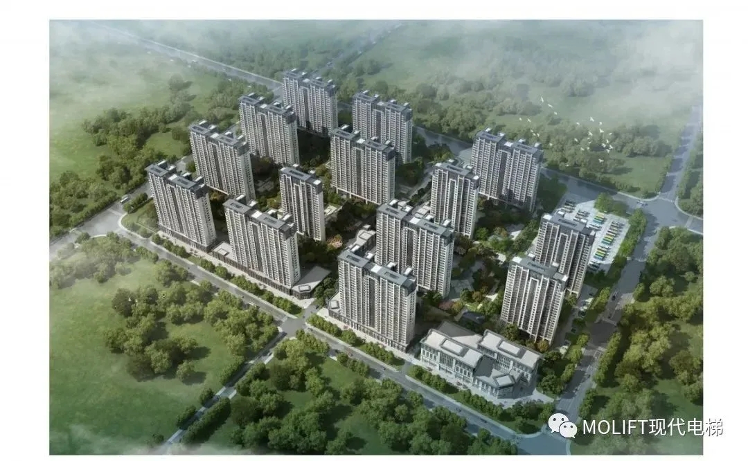 图片名称