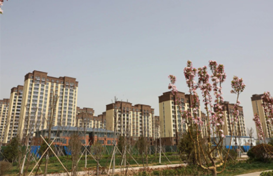 图片名称