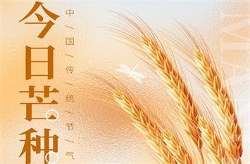图片名称