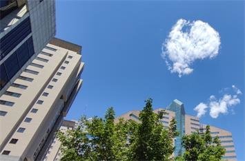 图片名称